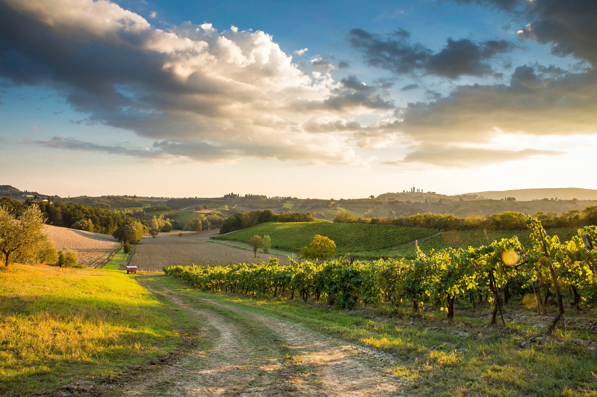 Appartamento Casaglia San Gimignano Extérieur photo